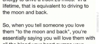 I+love+you+to+the+moon+and+back.