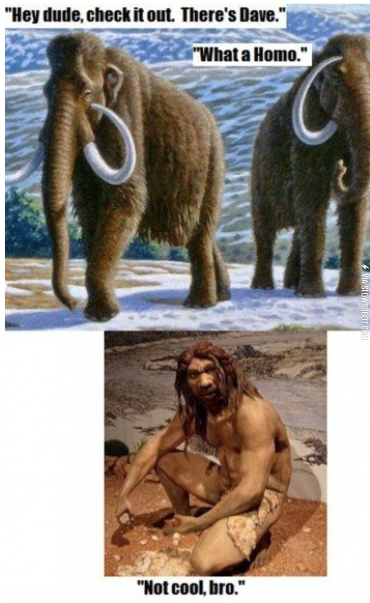 The+evolution+of+a+joke.