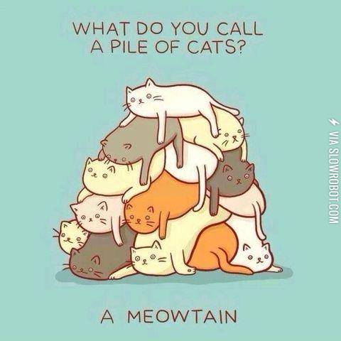 a+meowtain