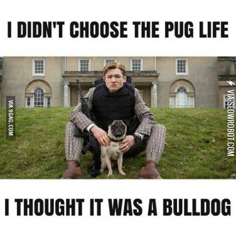 Pug+Life