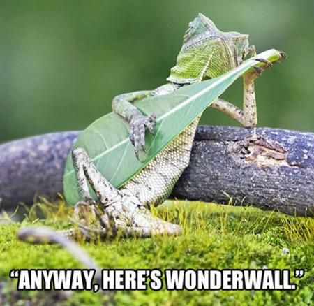 Been+Practicing+This+One+For+A+While+Now