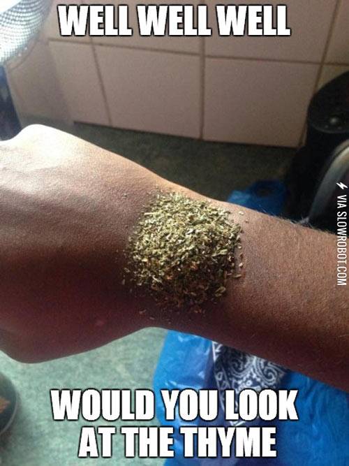 Would+you+look+at+the+thyme.