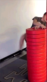 white+guys+can+jump%26%238230%3B.+just+not+high+enough