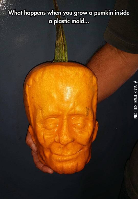What+happens+when+you+grow+a+pumpkin+inside+a+plastic+mold.
