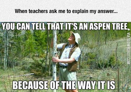 Explain+Your+Answer