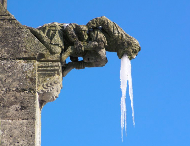 Gargoyle+had+a+hard+night.