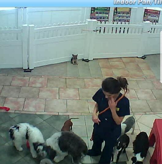 Socializing+is+hard.