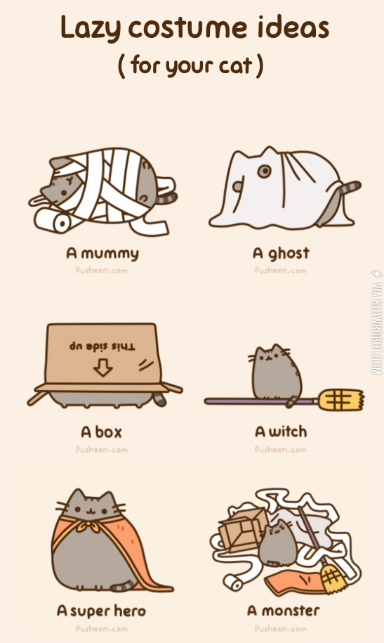 Lazy+costume+ideas+for+your+cat.