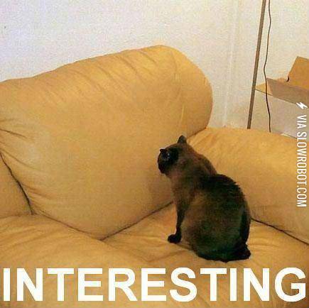 Whenever+I%26%238217%3Bm+studying+for+a+test.