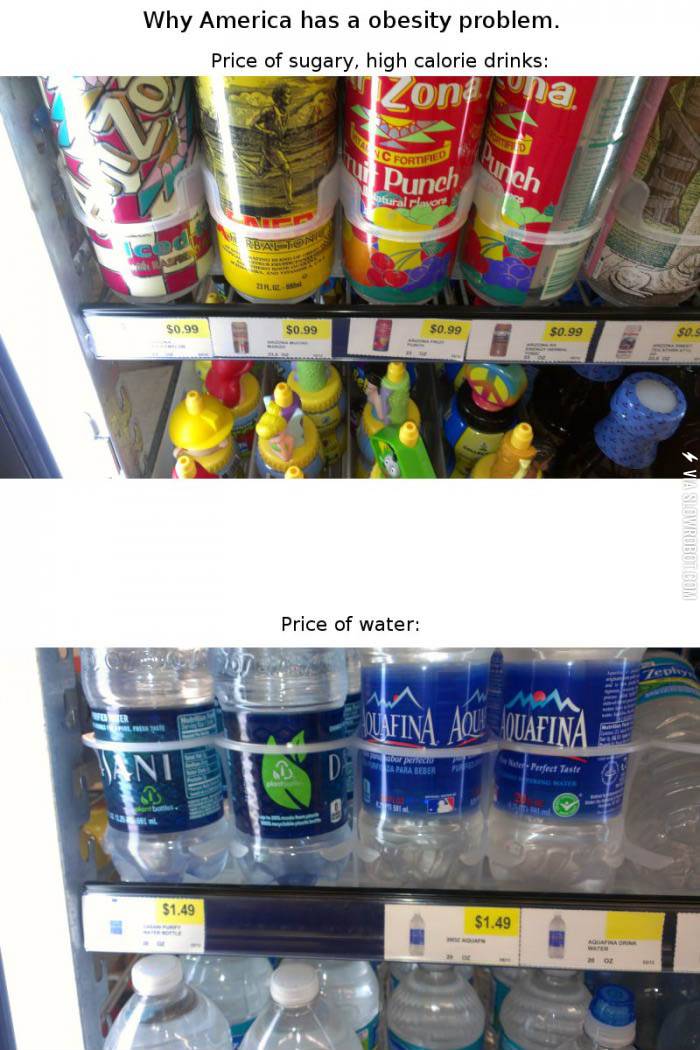 Why+America+has+an+obesity+problem.