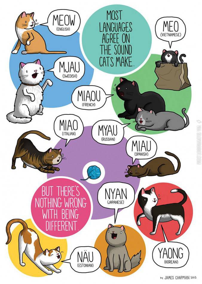 Cat+noises+from+around+the+world.