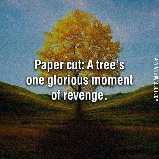 Truth+About+Paper+Cuts