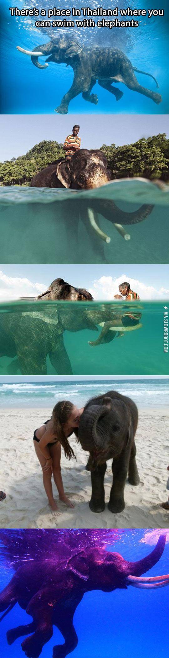 New+Addition+To+My+Bucket+List