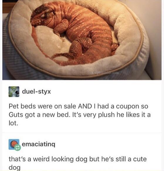 He+sure+is+funny+lookin