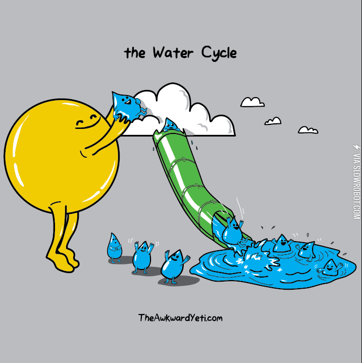 The+Water+Cycle