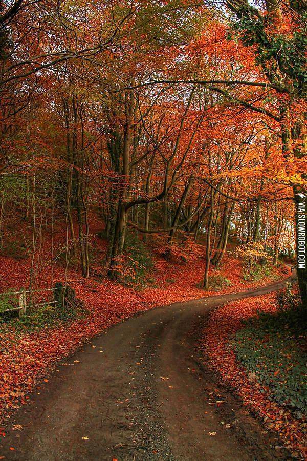 Virginia+in+the+fall.