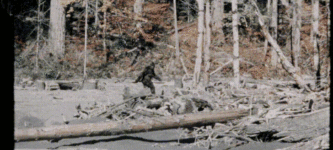 The+bigfoot+video+is+50+years+old