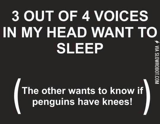 What+keeps+me+up+at+night