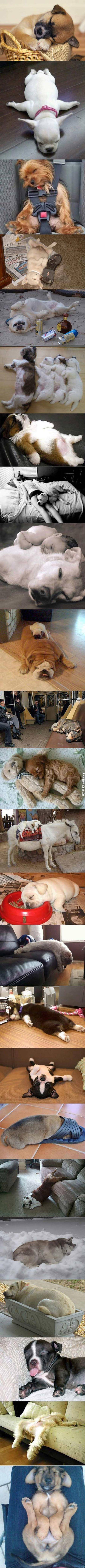 A+Sleep+Attack+Can+Be+Devastating