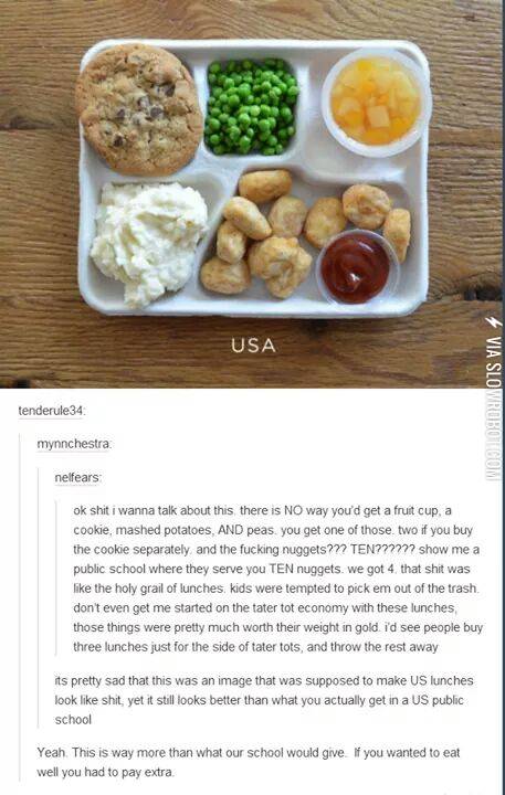 The+public+education+system