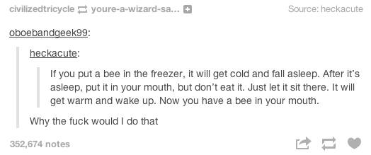 Things+to+do+with+bees