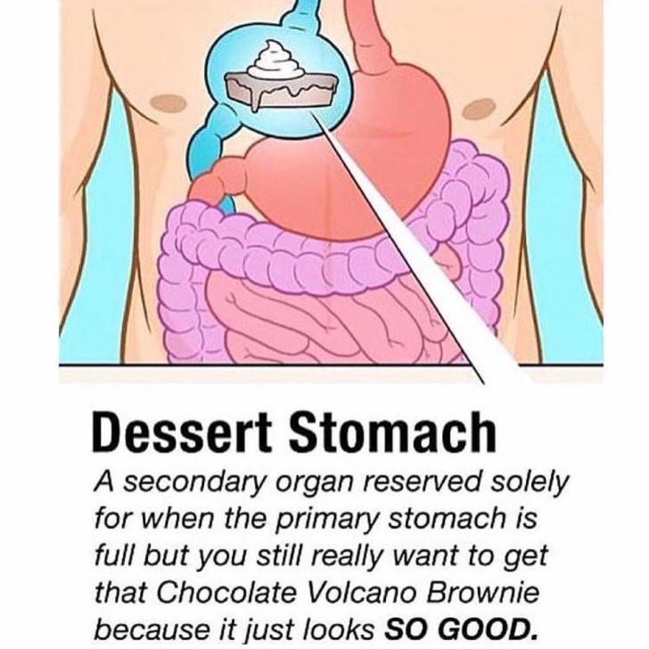 Dessert+stomach+always+comes+in+handy