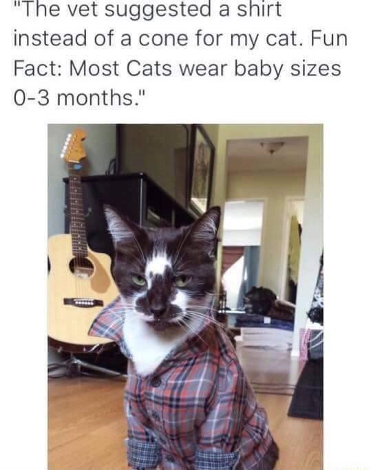 Cones+are+for+the+weak