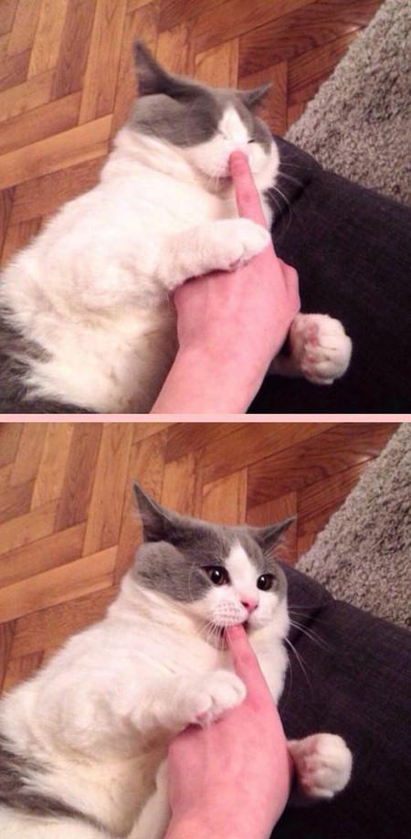 The+Consequences+Of+A+Boop