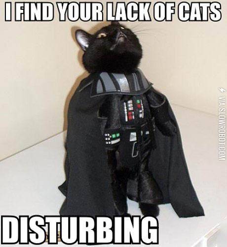 Cat+Vader+is+not+pleased.