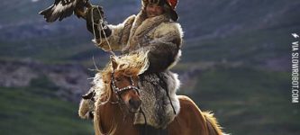 Ridiculously+Photogenic+Mongolian+Horse
