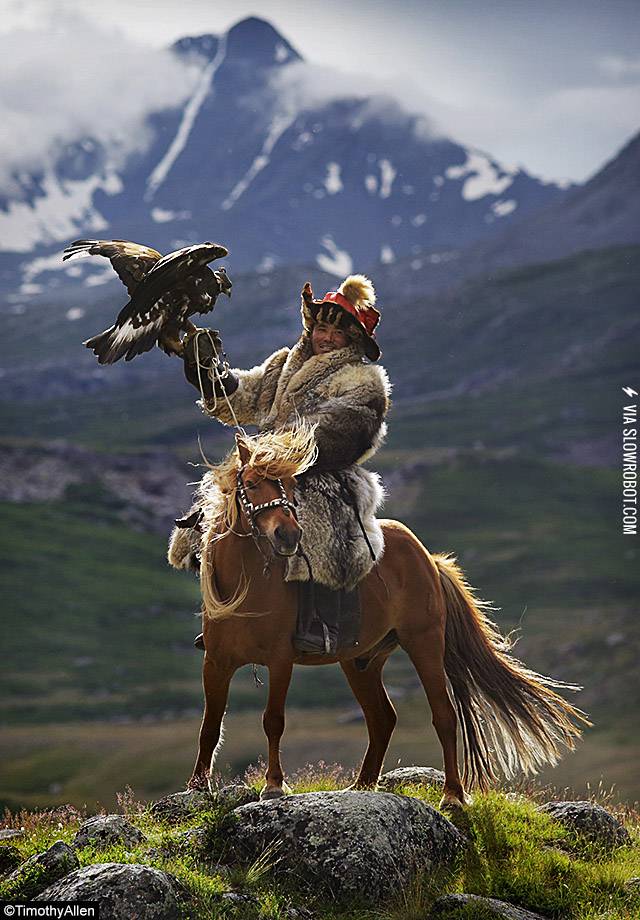 Ridiculously+Photogenic+Mongolian+Horse