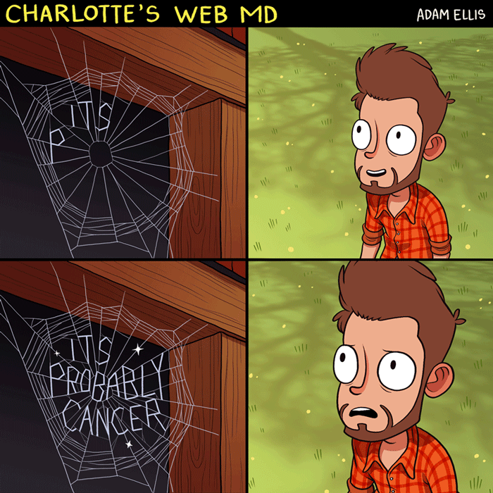 Charlotte%26%238217%3Bs+Web+MD