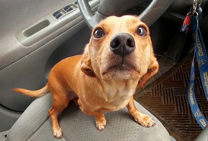 My+boyfriend+went+inside+a+store+without+him.+He+stared+at+me+like+this+the+whole+time.+4+minutes.+He+didn%26%238217%3Bt+move+or+blink+much%26%238230%3B+for+4+minutes.