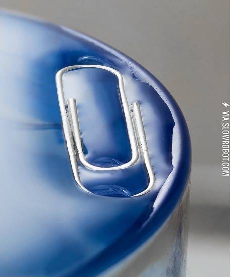 Surface+tension+is+awesome.