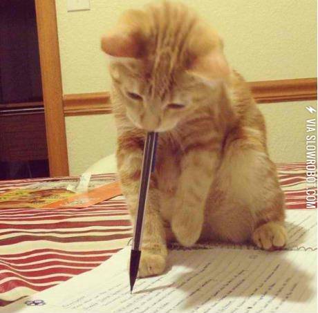 U+haz+grammatical+error+here+and+here.