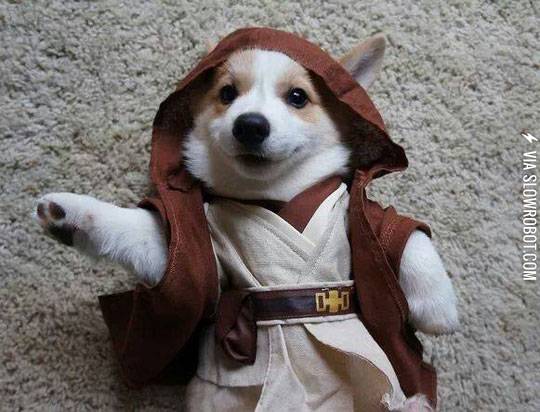 May+the+force+be+with+you.