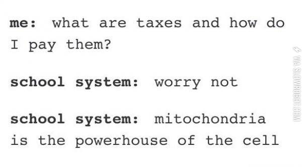 Thanks+school+system.%2C%2C