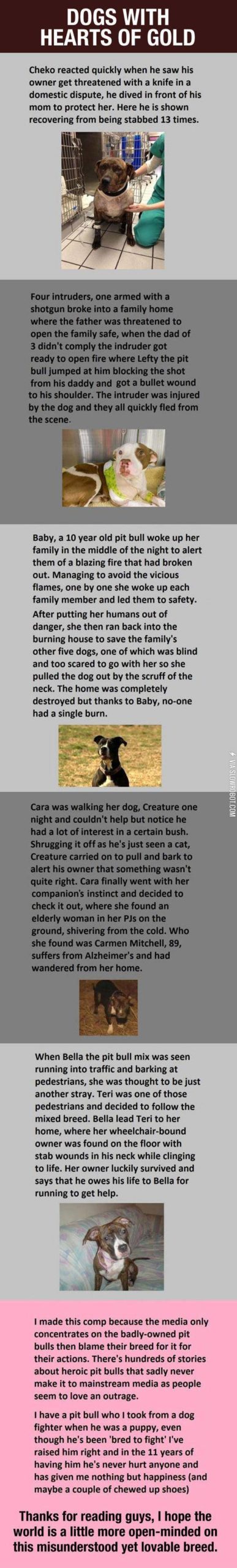 These+Guys+Really+Have+Hearts+Of+Gold