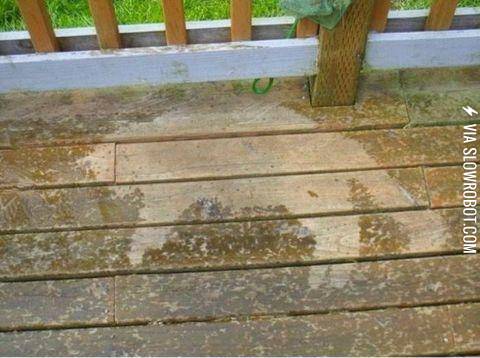 The+story+of+one+lazy+cat