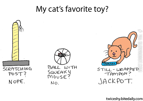 My+cat%26%238217%3Bs+favorite+toy.