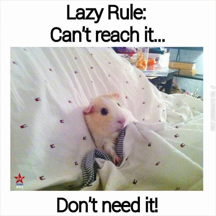 Lazy+rule.