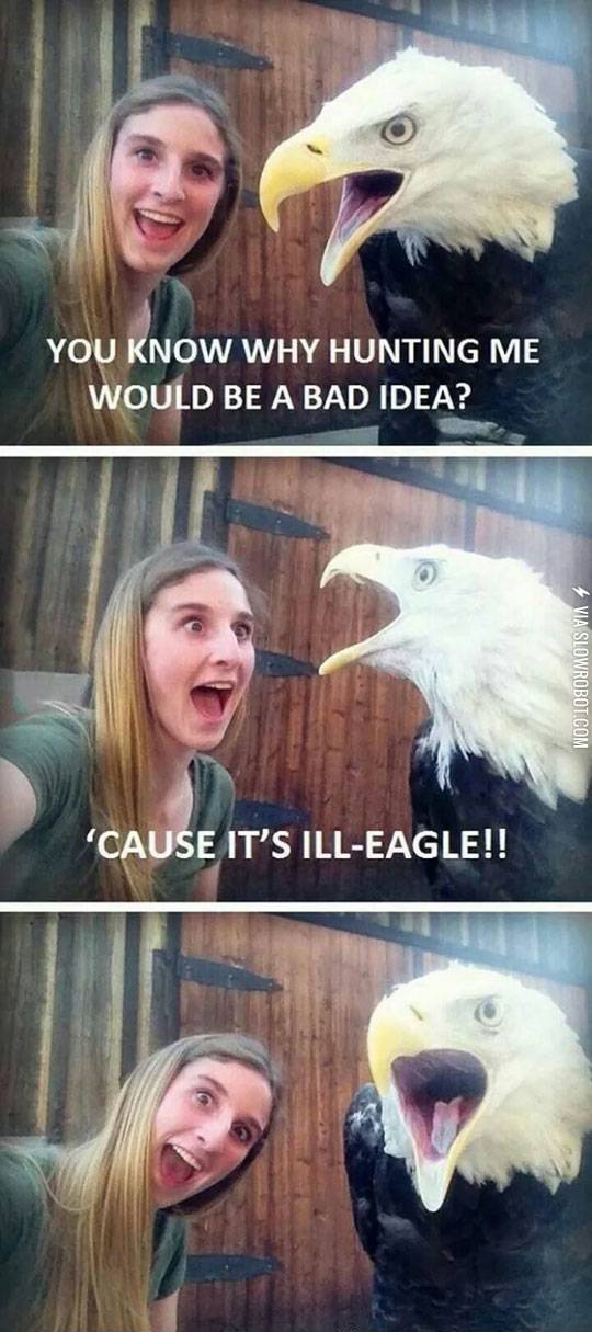 Bad+pun+eagle.