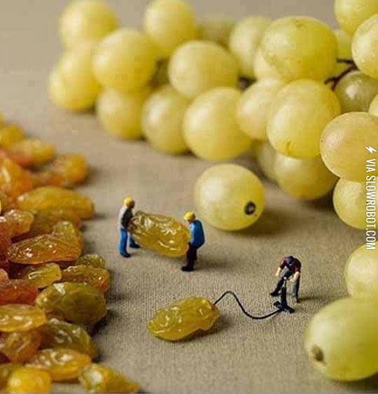 How+Grapes+Are+Really+Made