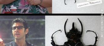 Beetles+As+Jurassic+Park+Characters
