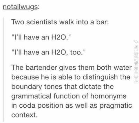 Two+scientists+walk+into+a+bar.