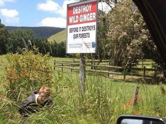 We+don%26%238217%3Bt+want+another+forest+fire.