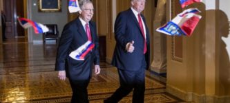 Protestor+throws+Russian+flags+at+Trump+and+McConnell+inside+Capitol