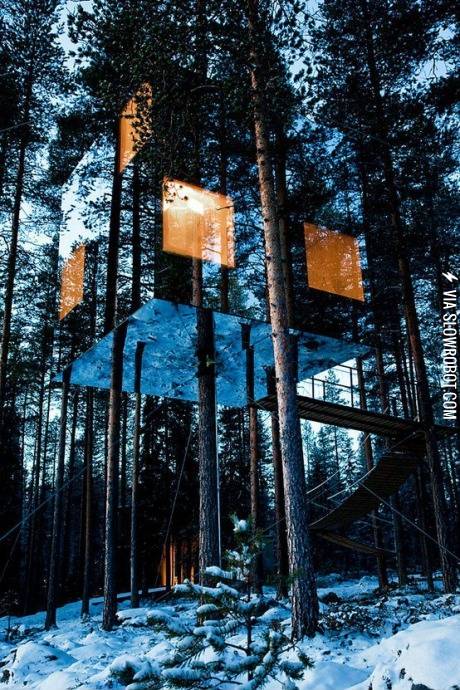 Tree+hotel+in+North+Sweden.