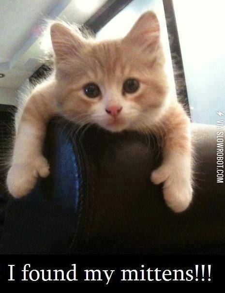 I+found+my+mittens%21%21%21