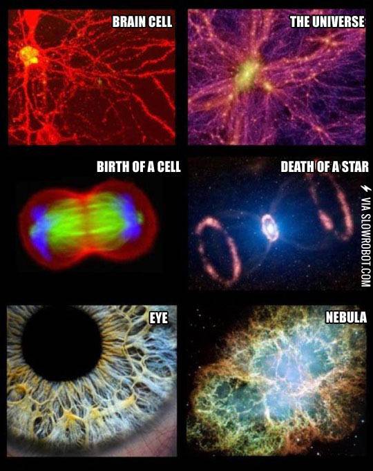 You+are+the+Universe.